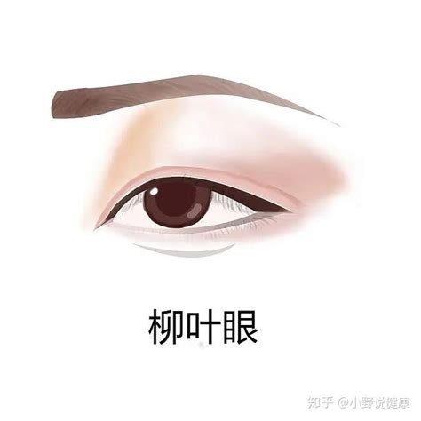 桃花眼型|如何判断自己是哪种类型的眼睛？